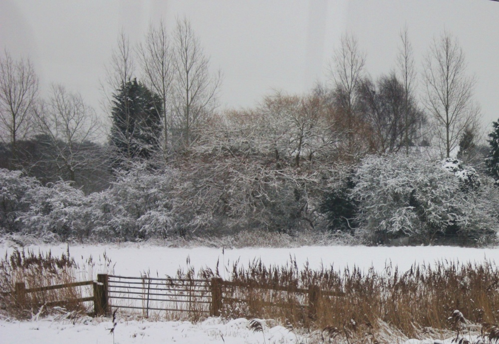 Photograph of Reedham in the winter, seen when passing on the train