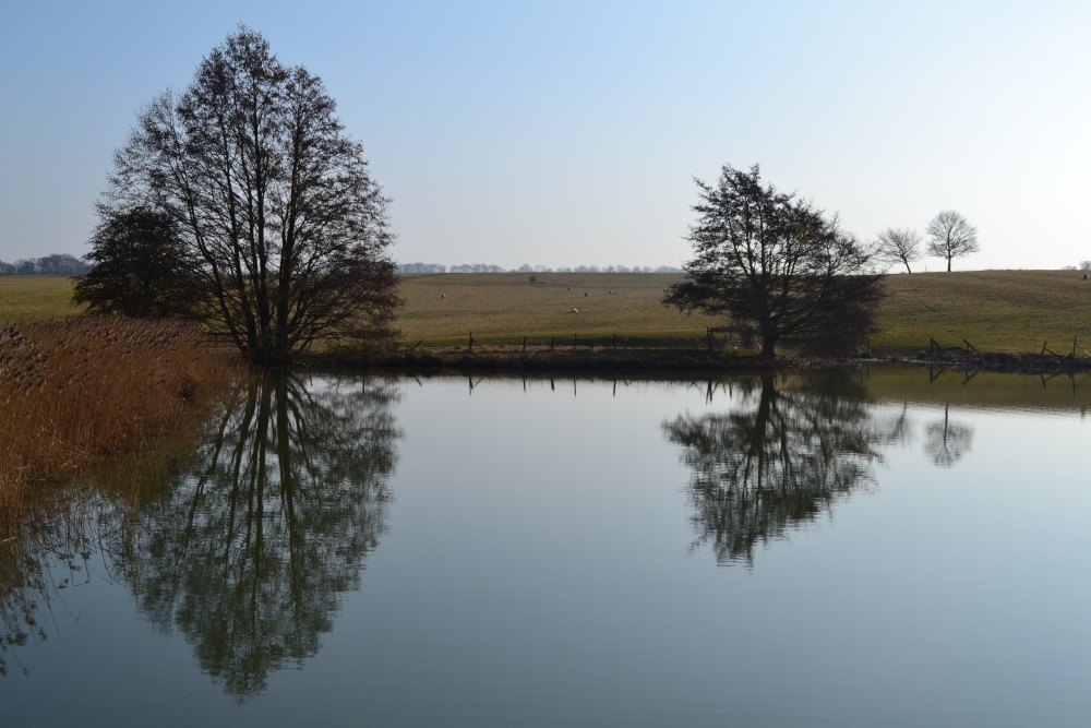 Photograph of Fawsley lake reflections