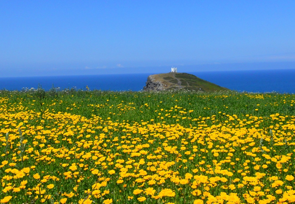Boscastle Lookout Tower