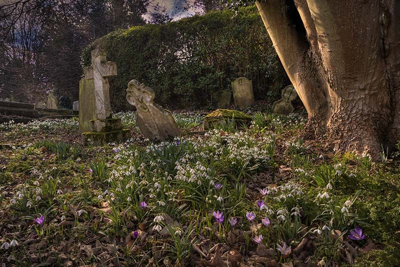 Photograph of The Parish Churchyard of St Leonard in colchester