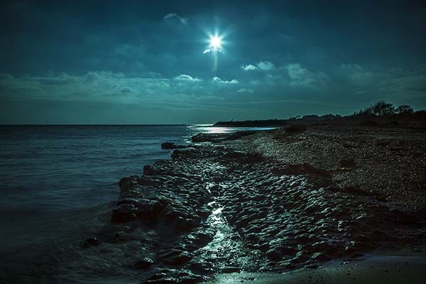 Mersea Island. photo by Barry Jones