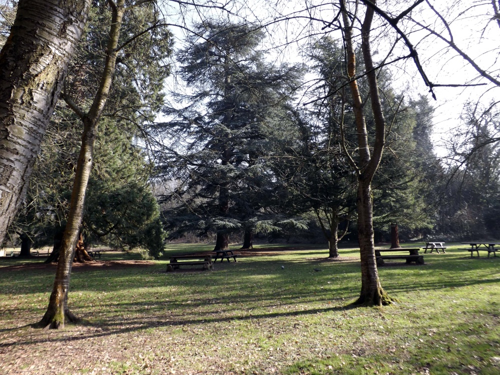 Photograph of High Elms Country Park