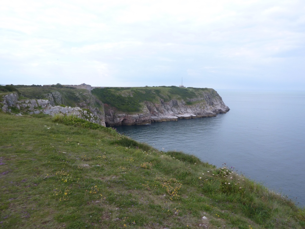 Berry Head Country Park photo by Barbara Whiteman