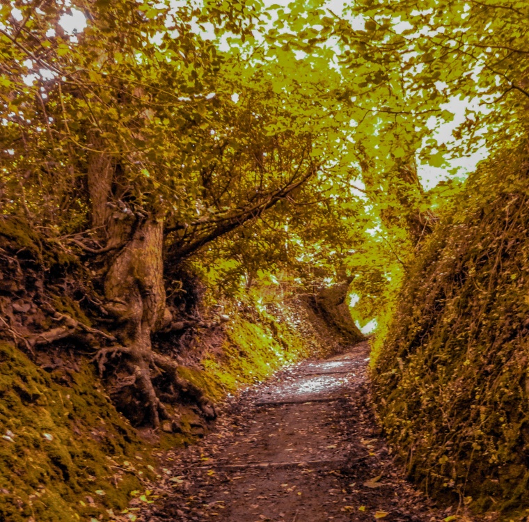 Photograph of Where does it lead to?