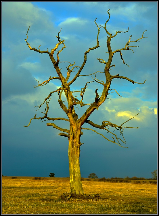 On it's way and time to get home.