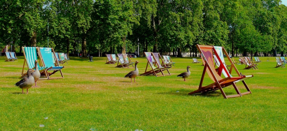 Morning - St James' Park