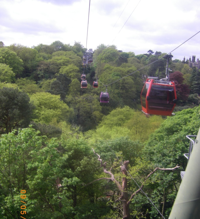 Cable Cars