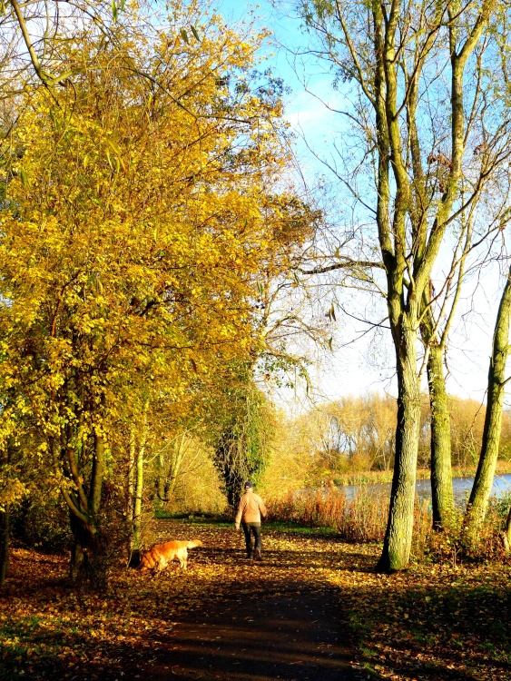 Watermead Country Park