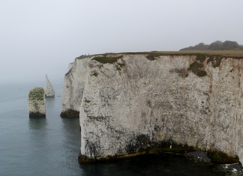 Studland photo by Pat Trout