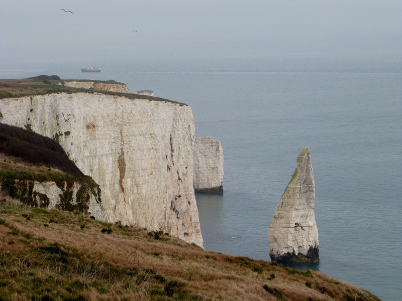 Studland photo by Pat Trout