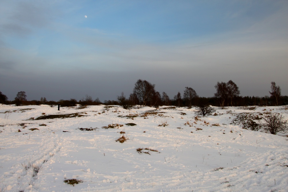 Barnack Hills and Holes NNR