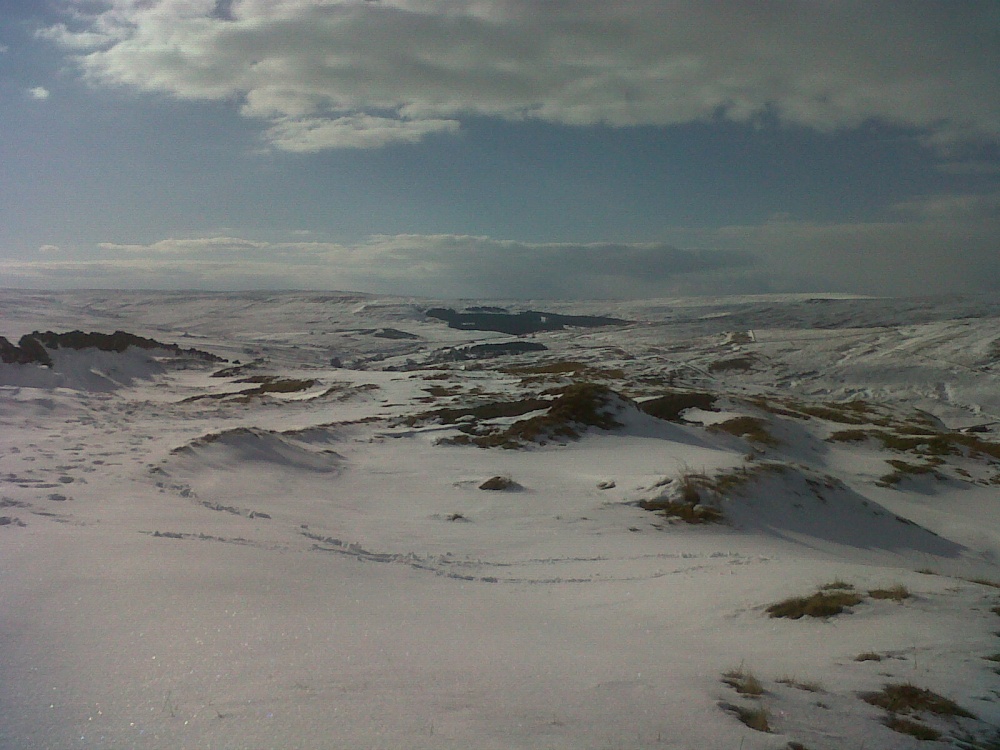 Photograph of Cowshill - British Summertime!