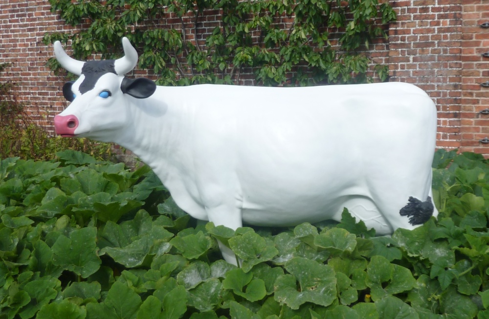 Is that a cow in my walled garden?