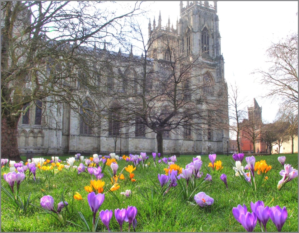 York Minster, Spring