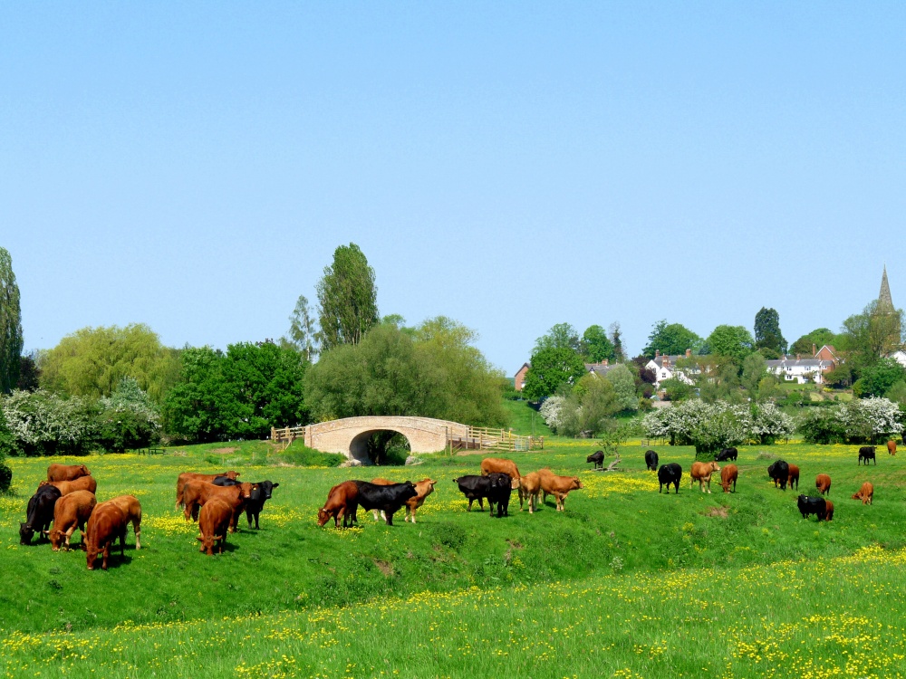 Photograph of Tranquil scene from Rotherby