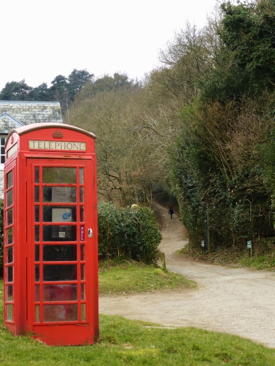 Off to the Surrey Hills