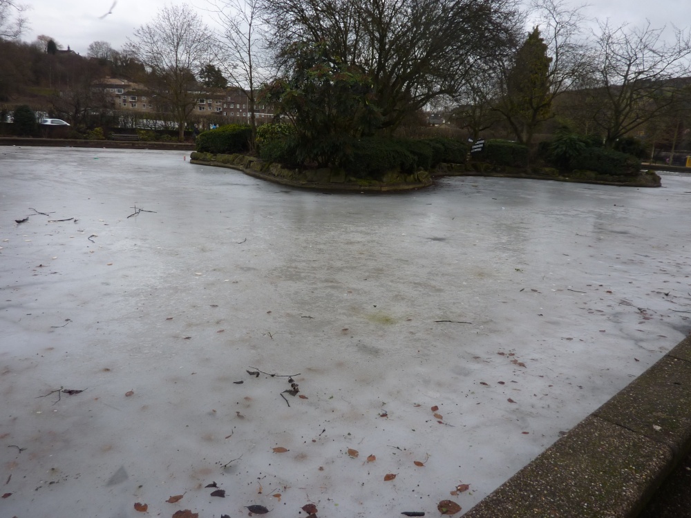 Photograph of Frozen Pond