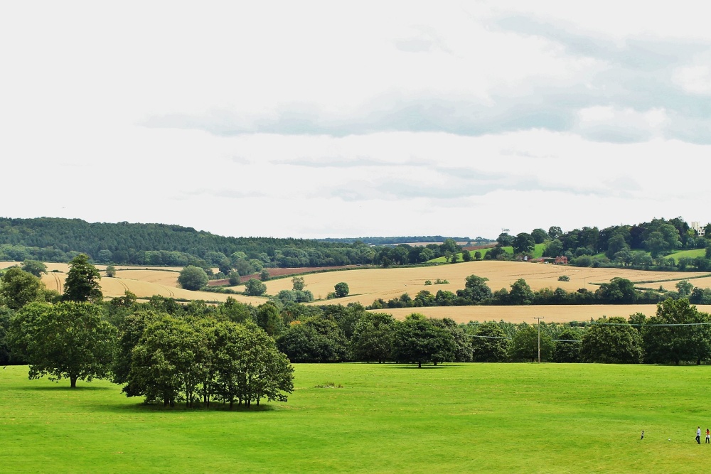 View From Ragley Hall