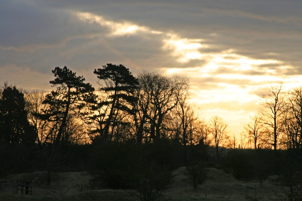 Barnack Hills and Holes NNR