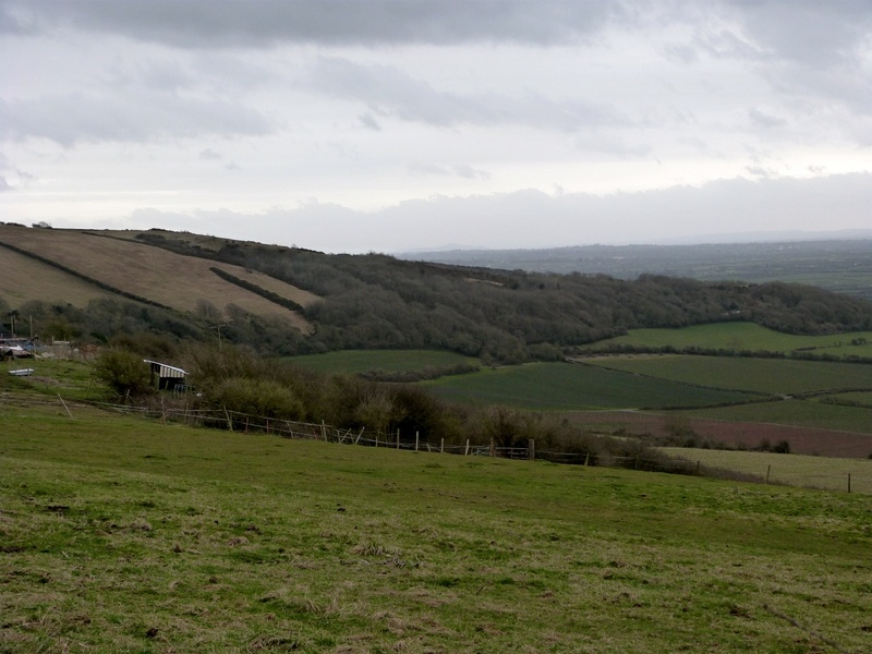 Photograph of Bleadon Hill