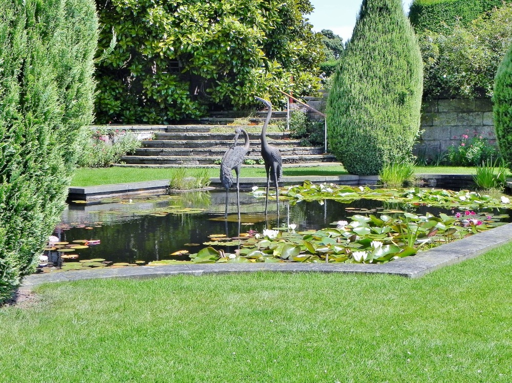 Photograph of Gardens