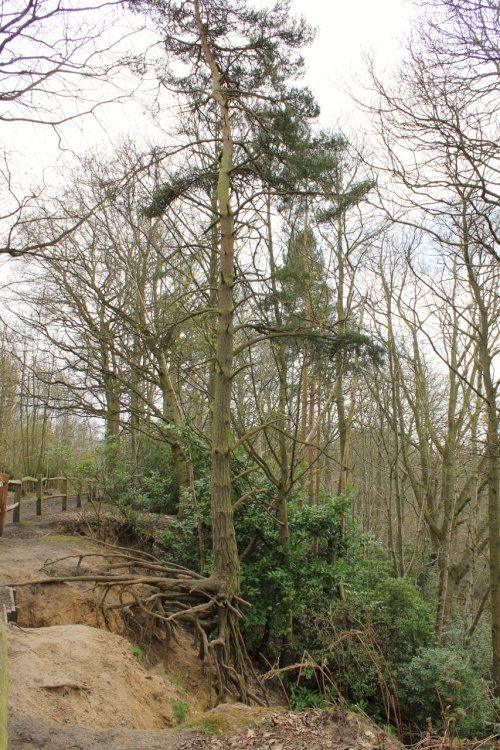 The root of the matter