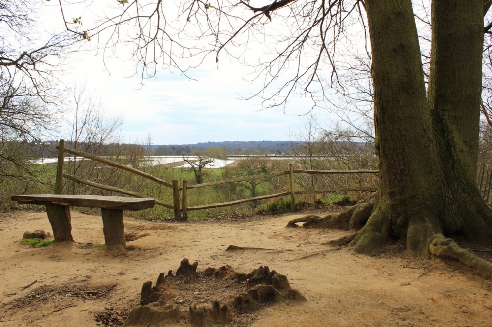 Photograph of The Oulook