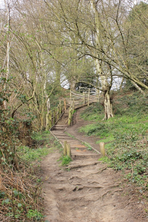 It's a long way to the top