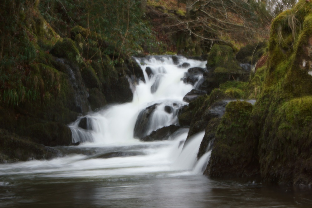 Kelly Hall Tarn, Torver