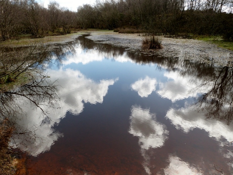 Photograph of Sampford Moor
