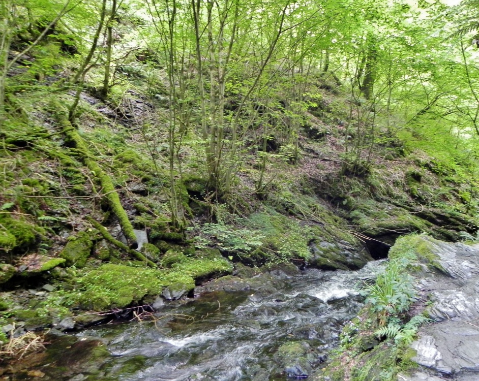 Photograph of Lydford Gorge