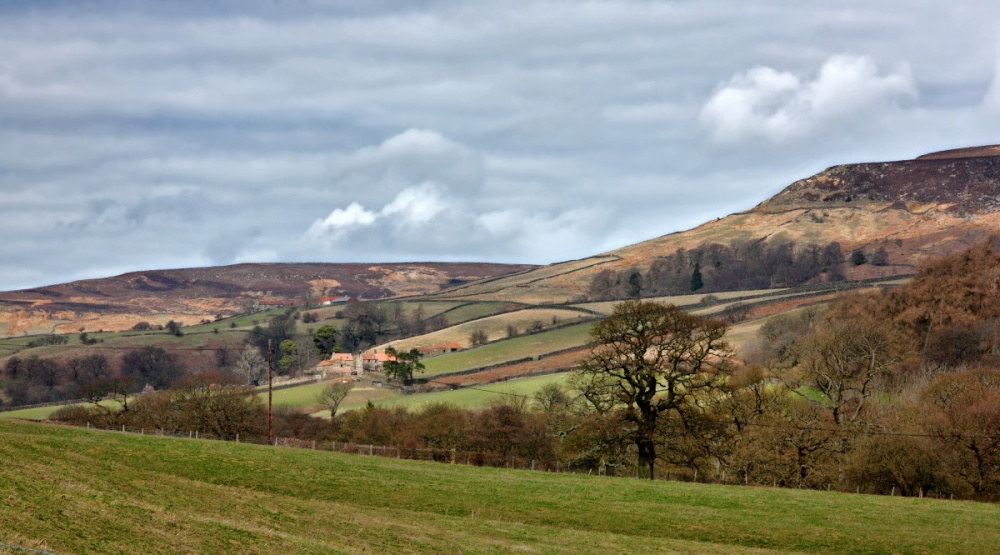 Farndale, North Yorkshire photo by Paul Lakin
