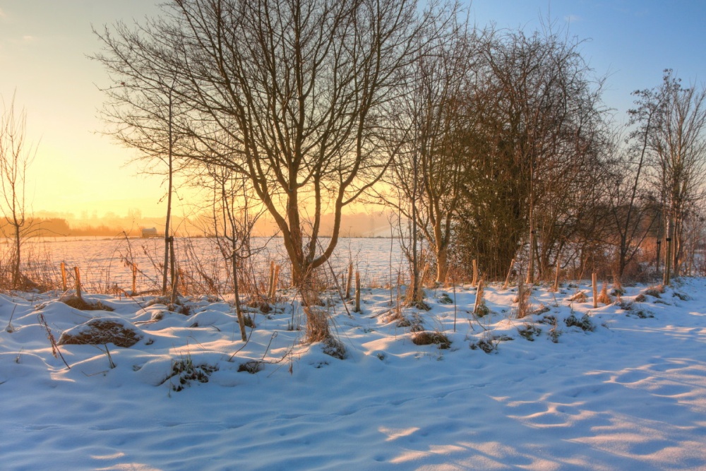 Photograph of Snow morning, Skidby