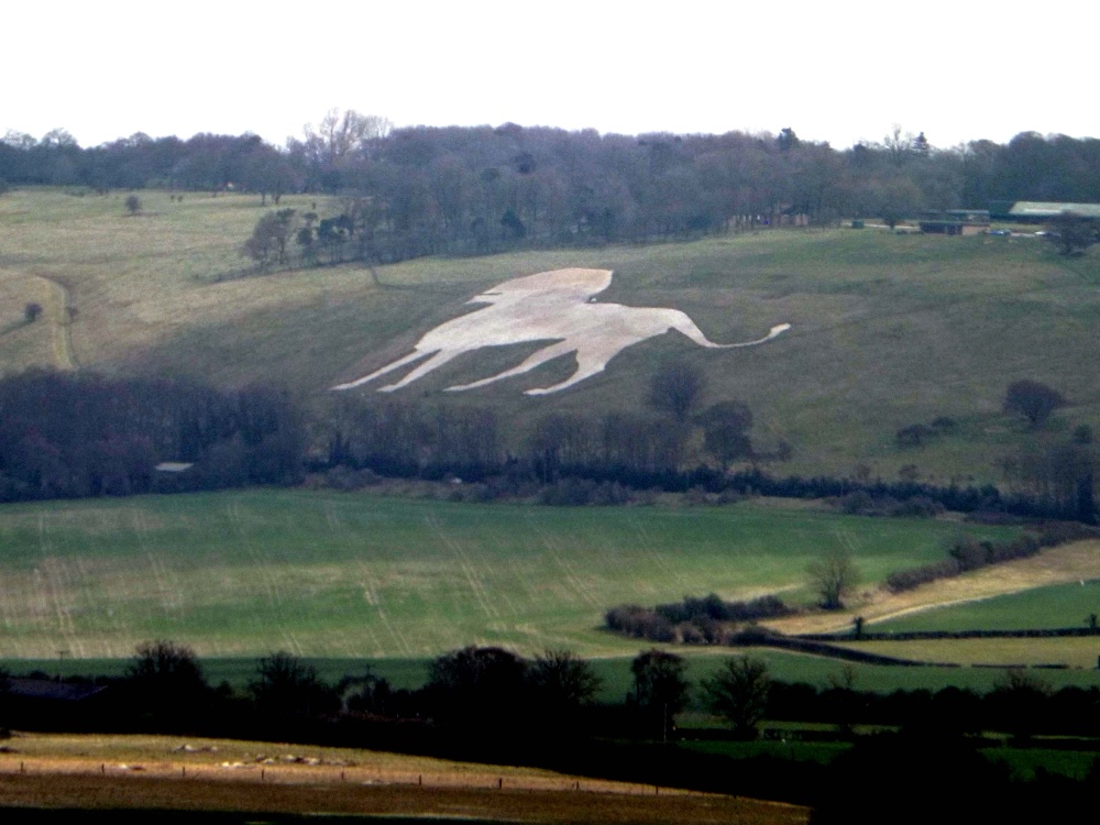 View of the Whipsnade White Lion from Ivinghoe Beacon