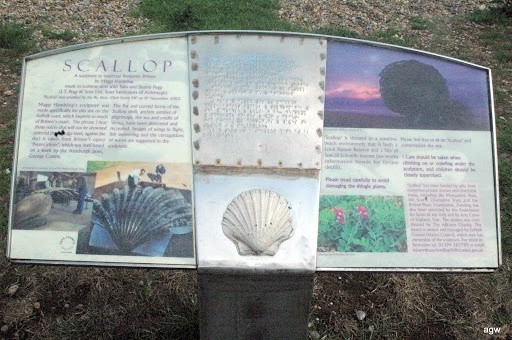 Information on the Scallop