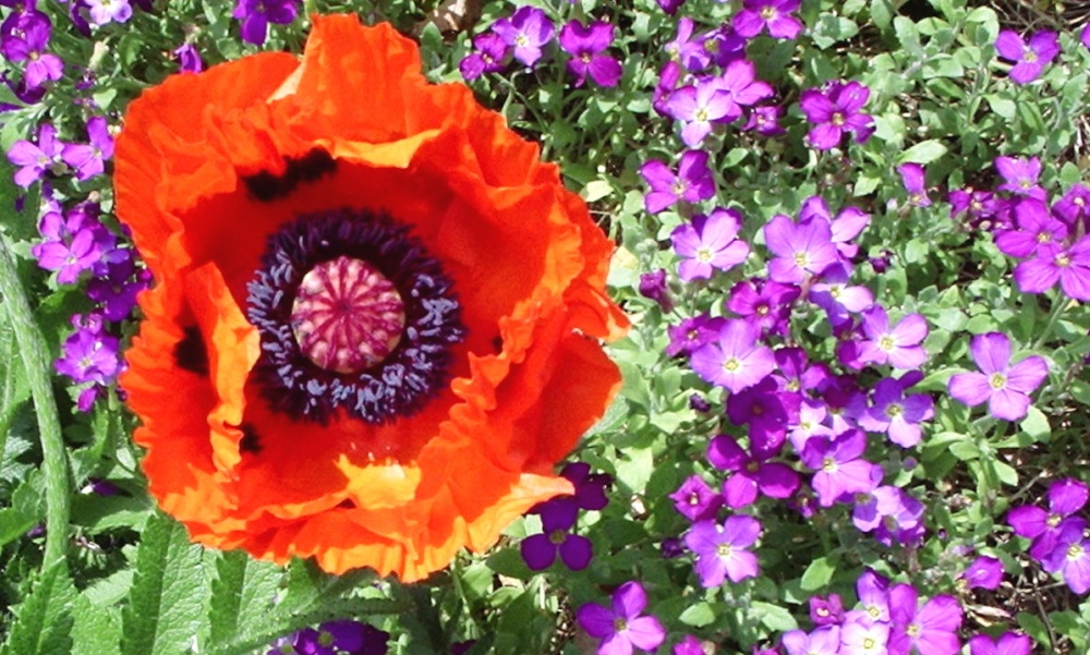 Queens Park, Ferrybridge Road, Castleford