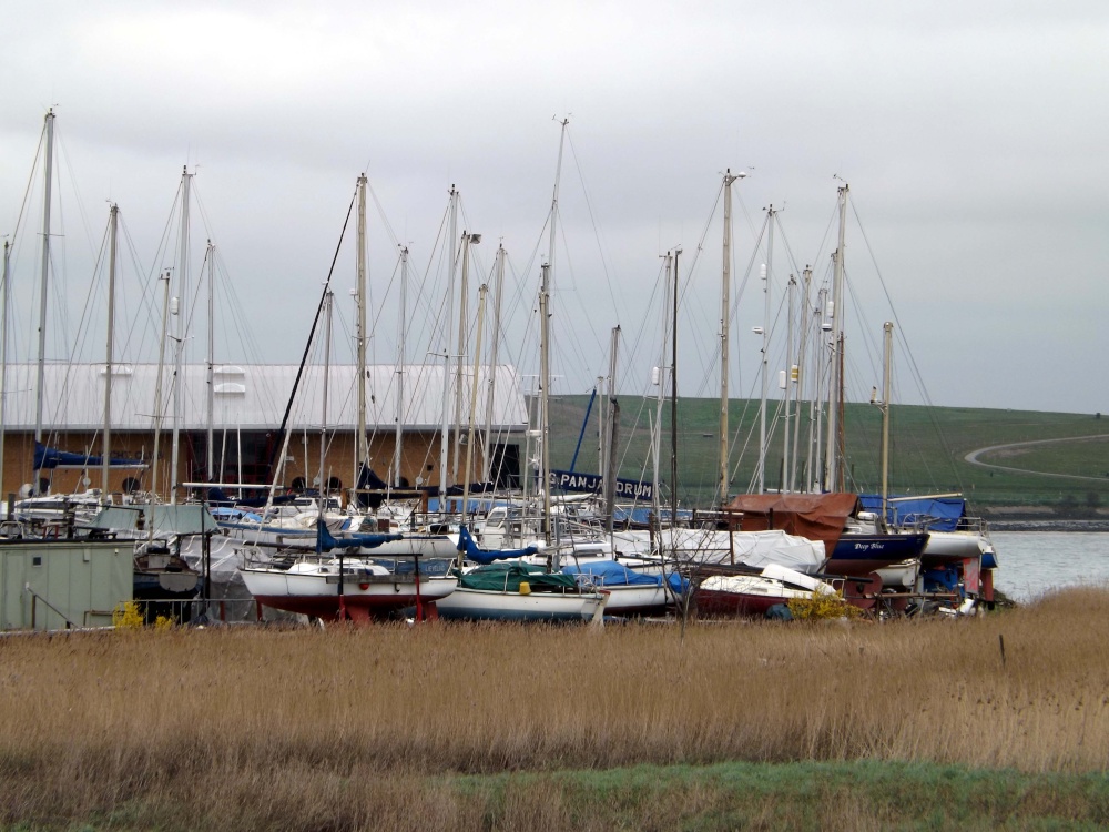 Photograph of The Thames, Erith