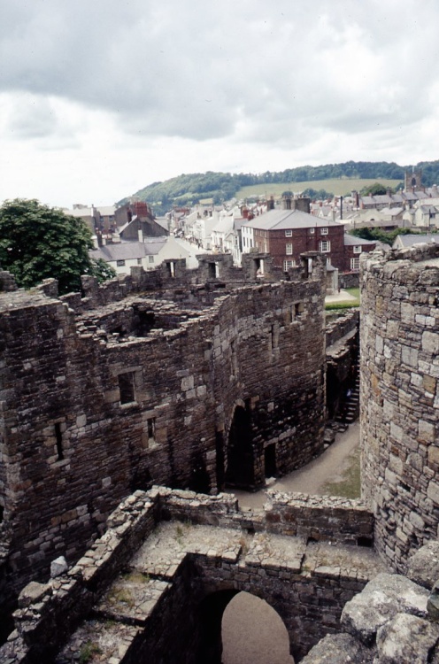 Beaumaris Castle