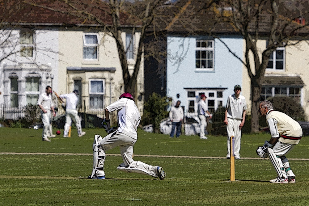 Fareham Cricket