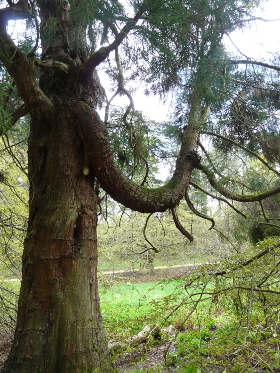 Belsay Hall and Gardens, Ponteland, Northumberland