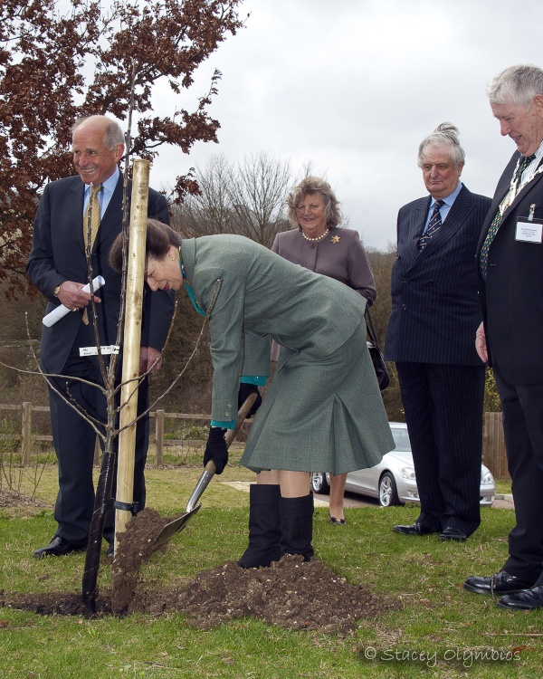 HRH Princess Anne visiting Godmersham, Kent.