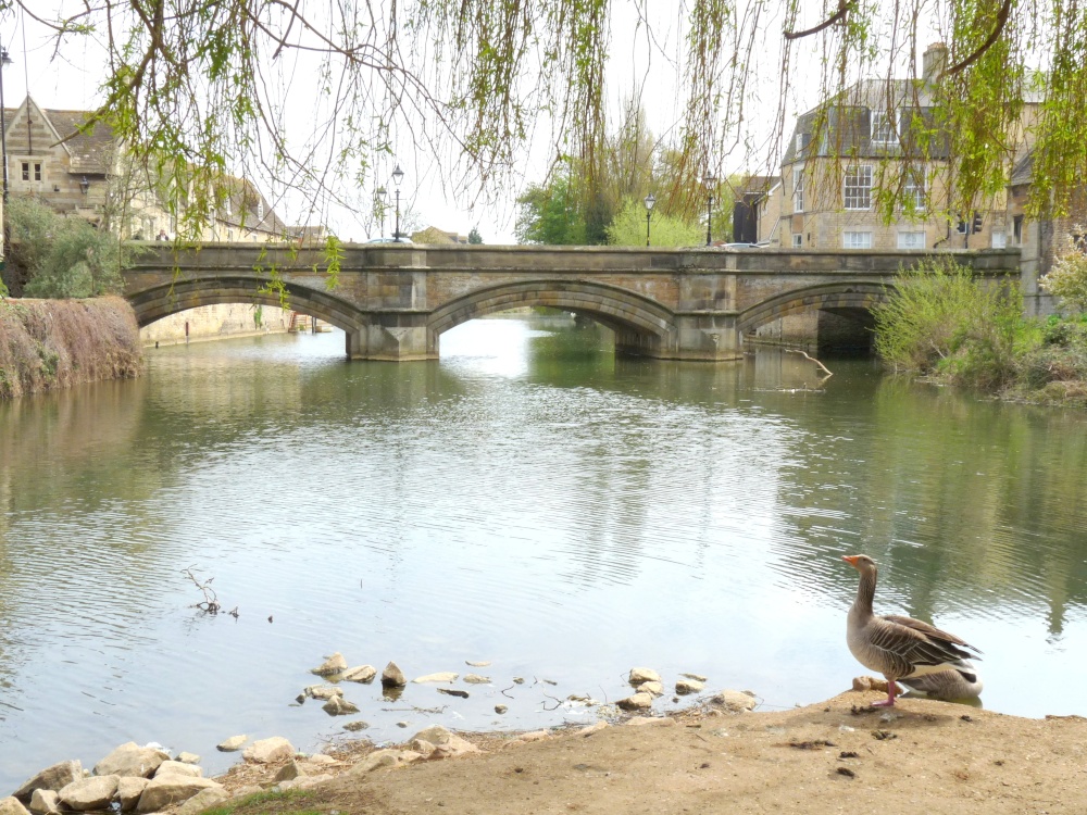 The River Welland in Stamford