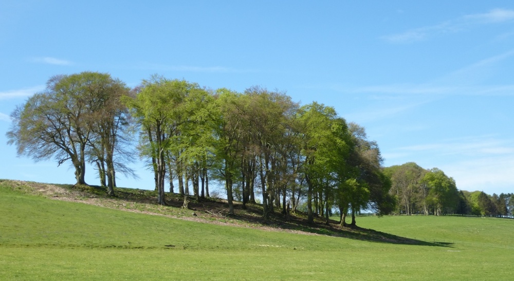A303 - The way to the West