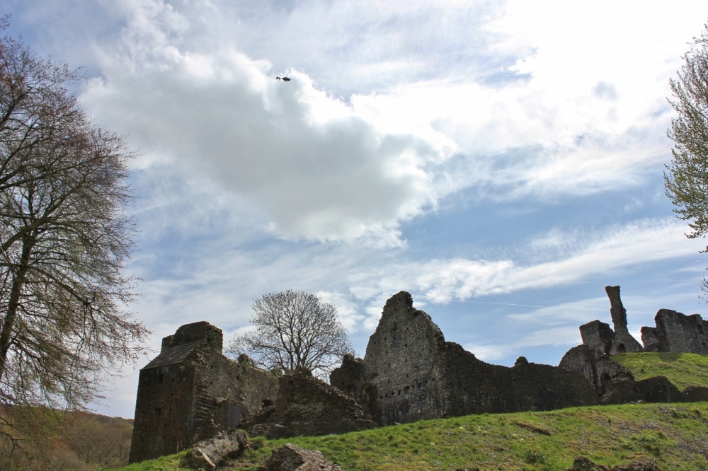 One flew over the ... Castle!
