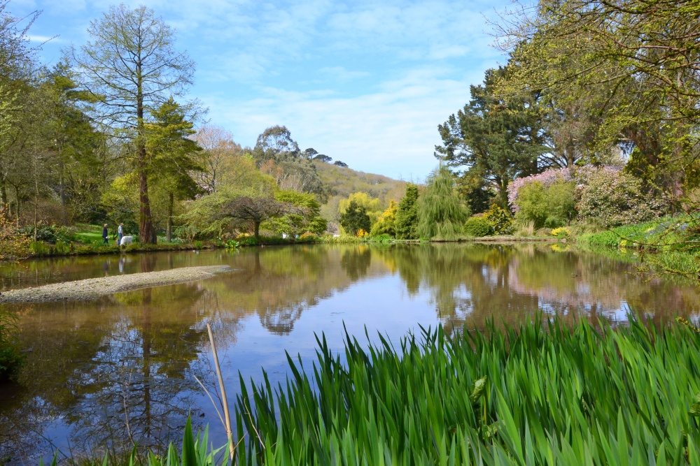 Photograph of The Lake