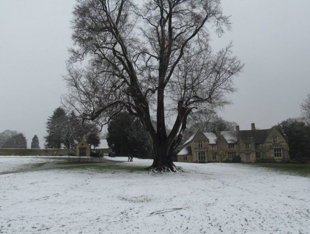 Photograph of Rushden Hall Park