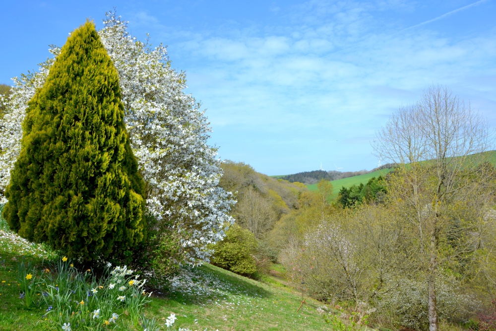 Photograph of Marwood Hill Valley view