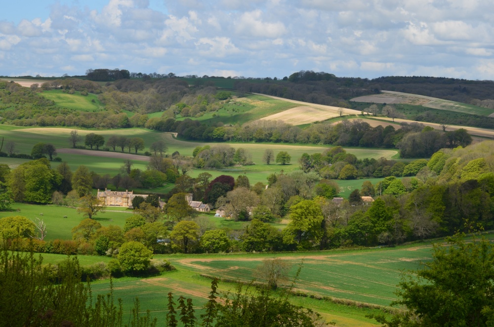 Photograph of Up Cerne Village