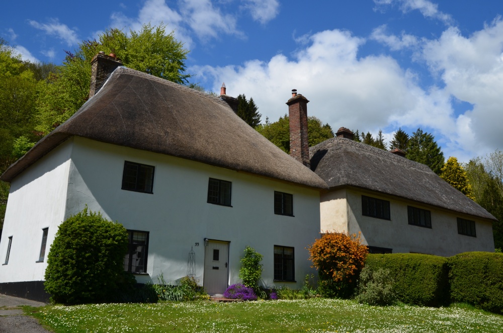 Photograph of Milton Abbas