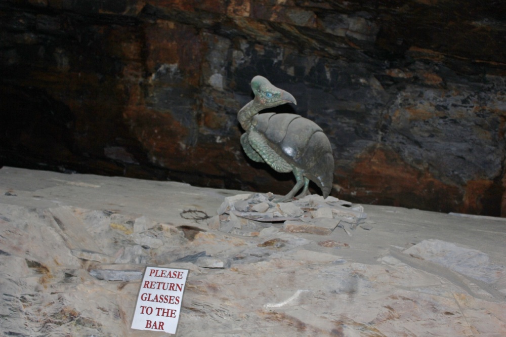 ONE TOO MANY PERHAPS? photo by Vince Hawthorn